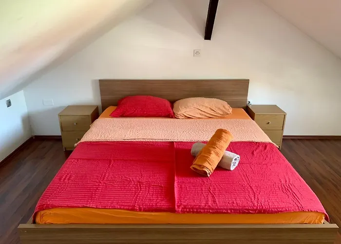 Peachy House Bezigrad ゲストハウス